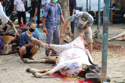 Pemotongan dan Penyaluran Hewan Kurban UPN Veteran Jakarta